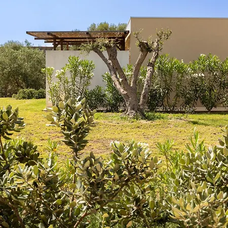 Agua Green 3*