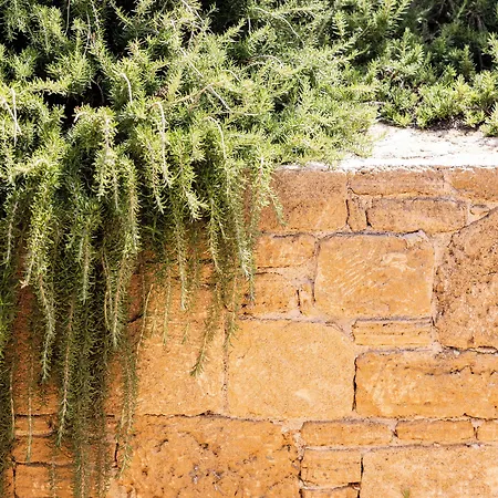 Agua Station touristique Reitani