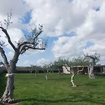 Resort Agua Reitani