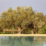 Resort Agua