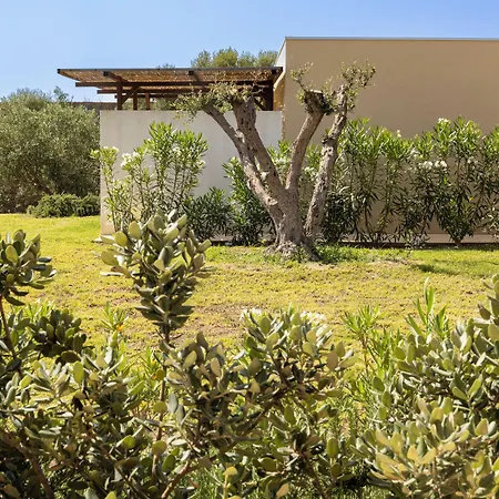 Agua Resort
