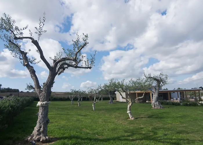 Resort Agua Reitani